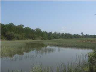 0 BEARS BLUFF RD, Wadmalaw Island, SC 29487 