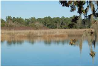 1 MATEEBA GARDENS RD., Summerville, SC 29483 