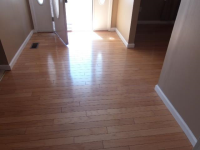 303 Madi Way, Lugoff, SC 29078 