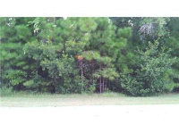 4318 Royal New Kent Ct, Mt Pleasant, SC 29429 