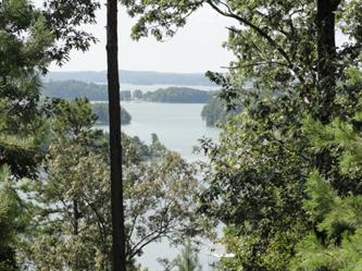 135 S Falls Rd, Sunset, SC 29685 