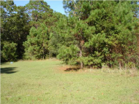 5730 SAVANNAH HWY, Ravenel, SC 29470 