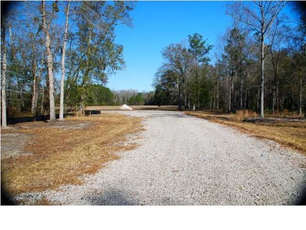 1 COUNTY LINE RD, Ravenel, SC 29470 