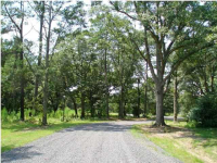 6373 FARM HOUSE RD, Ravenel, SC 29470 