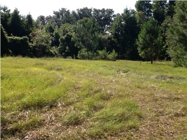 0 SUGAR POND RD, Edisto Island, SC 29438 