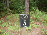 5 PEPPER GRASS TRAIL, Ravenel, SC 29470 