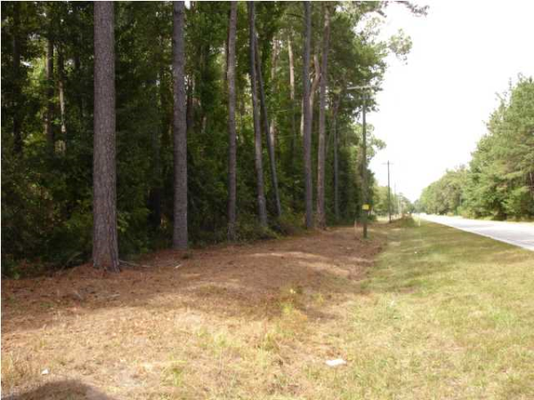 8 HWY 174, Adams Run, SC 29426 