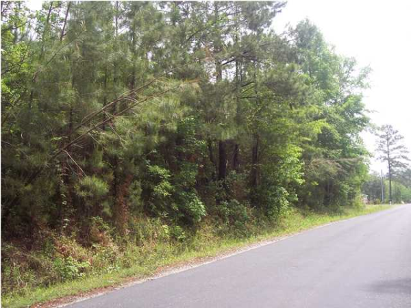 7 RENAU BLVD, Summerville, SC 29483 