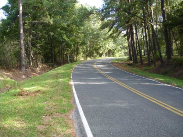 2 MAUSS HILL RD, Adams Run, SC 29426 