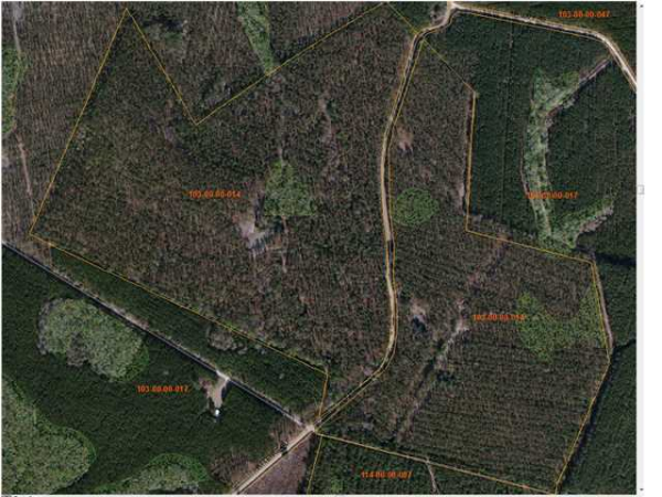 0 HATTERAS BLF, St George, SC 29477 