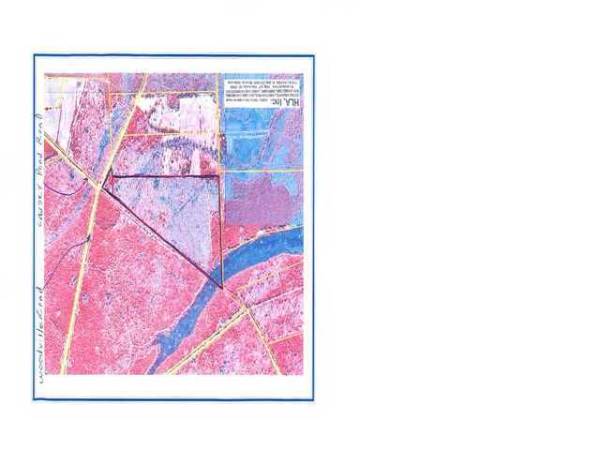 0 CAUSEY POND RD, Awendaw, SC 29429 