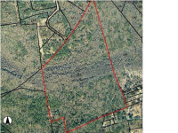 1 GOLDEN RICE LN, Ravenel, SC 29470 