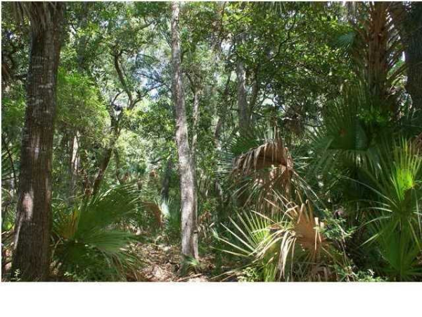 2763 OLD OAK WALK, Seabrook Island, SC 29455 