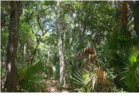 2763 OLD OAK WALK, Seabrook Island, SC 29455 