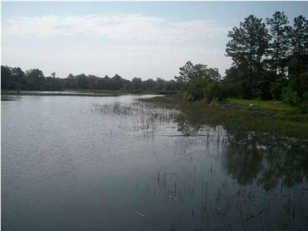 LOT B 0 WALKING HORSE RD, Meggett, SC 29449 