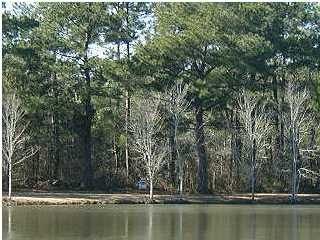 2130 STATE RD, Summerville, SC 29483 