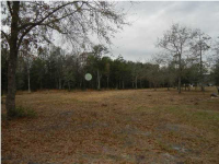 0 BAY POND RD, Ravenel, SC 29470 