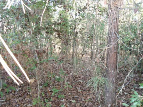 7473 HIGHWAY 162, Hollywood, SC 29449 