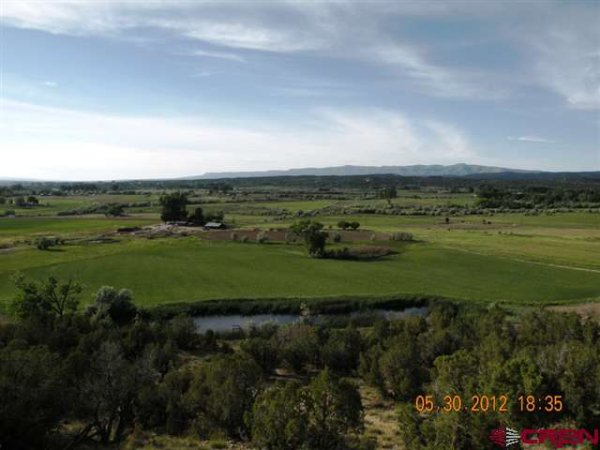29602 DD Road, Nucla, CO 29602 