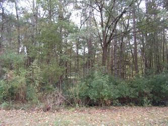 8606 Scottish Troon Ct., North Charleston, SC 29420 