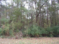 8606 Scottish Troon Ct., North Charleston, SC 29420 