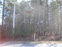 216 GENERAL MOULTRIE DR, Bonneau, SC 29431 