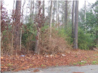 0 CHALLEDON DR, Summerville, SC 29483 
