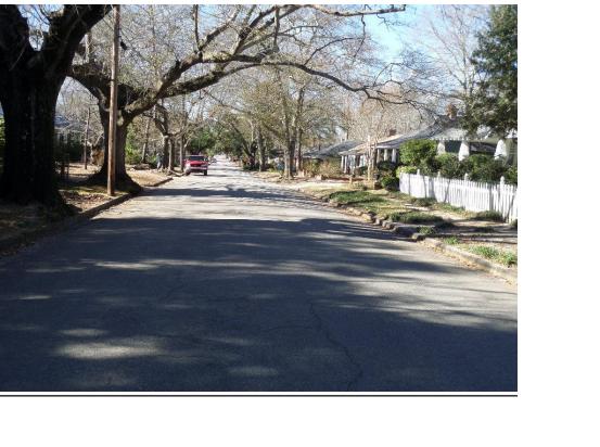 406 Hampton Street, Camden, SC 29020 