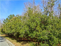 4009 COLONEL VANDERHORST CIR, Mount Pleasant, SC 29466 