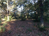 25 Cedar Pt Apn# R600 010 000 0160, Chechessee Creek, SC 29909 