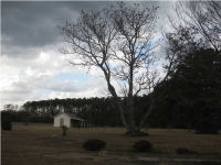 1888 MUDVILLE RD, Ridgeville, SC 29472 