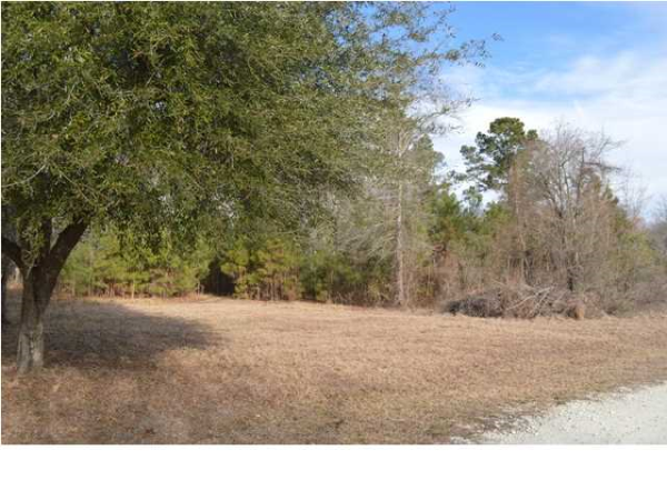 120 KASSIDY CT. TRACK B, Moncks Corner, SC 29461 