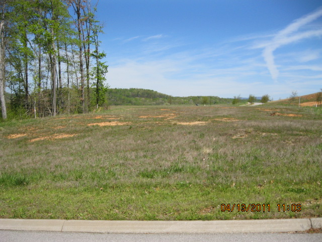 143 Mistletoeberry Lane, Oak Ridge, TN 37830 