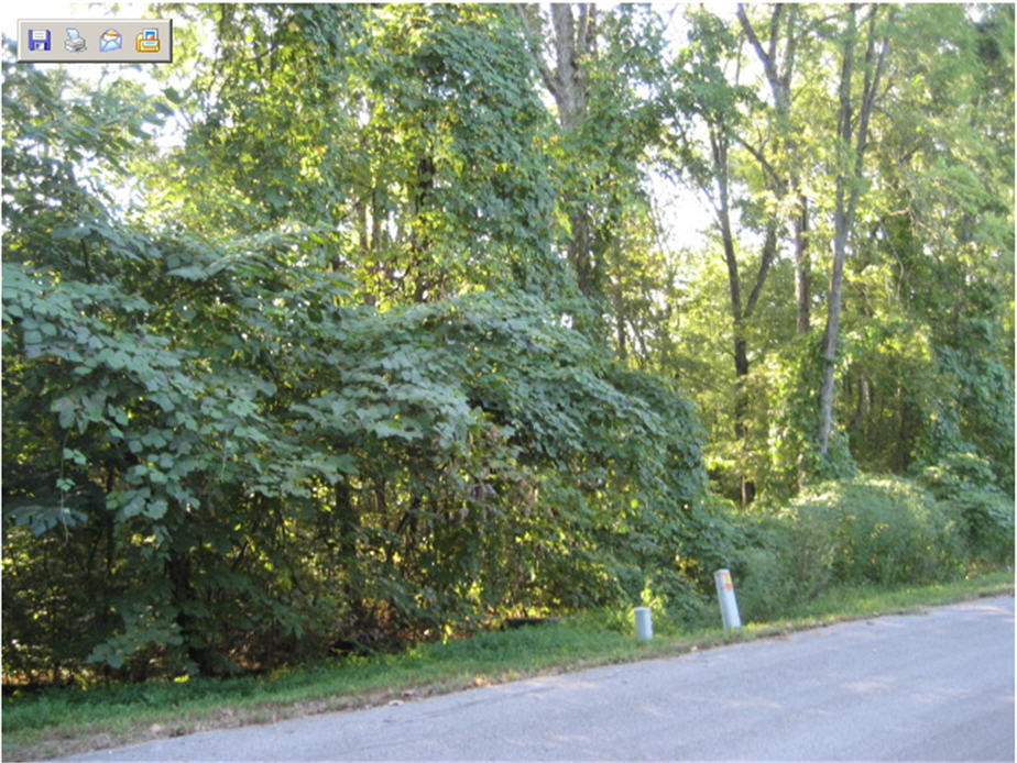 Lot 8, 9 &amp; 10 Blk 12 Nuhya, Loudon, TN 37774 