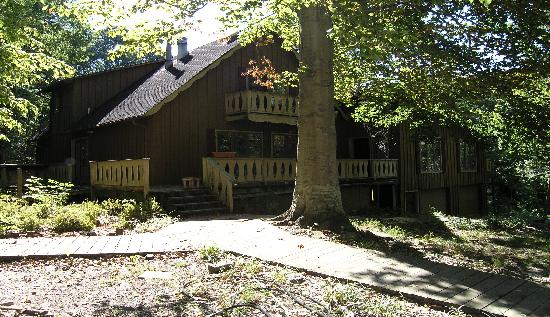 146 Charles Martin Rd, Ripley, TN 38063 