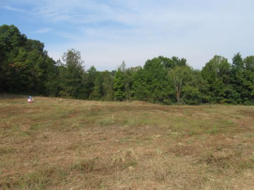 765 CARL MCGILL RD, Pinson, TN 38366 