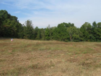 765 CARL MCGILL RD, Pinson, TN 38366 