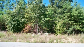 LOT 674 HAWKS BLUFF, SPENCER, TN 38585 