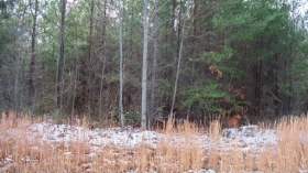 LOT 559 HAWKS BLUFF, SPENCER, TN 38585 