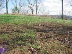 LOT 27 RIVER BREEZE, SUGAR TREE, TN 38380 Foreclosure