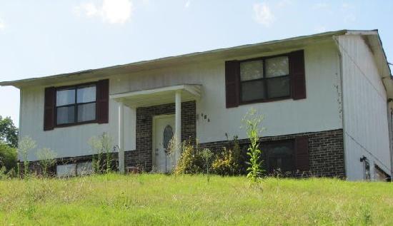 318 Brown Ellis Drive, Harriman, TN 37748 