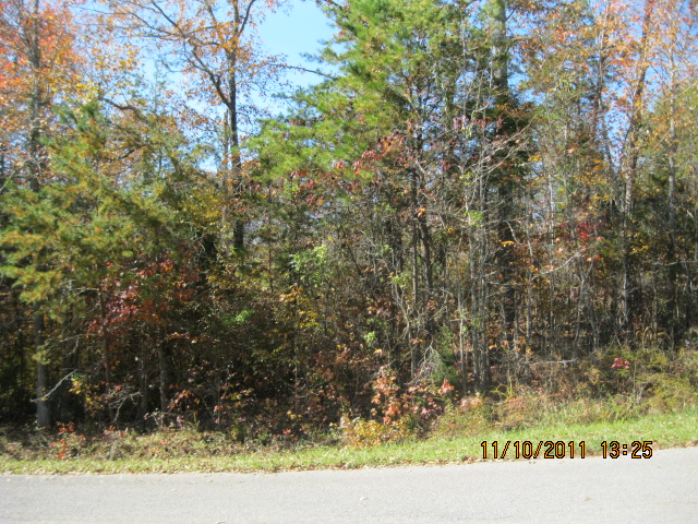 410 RED CLOUD DRIVE, TEN MILE, TN 37874 