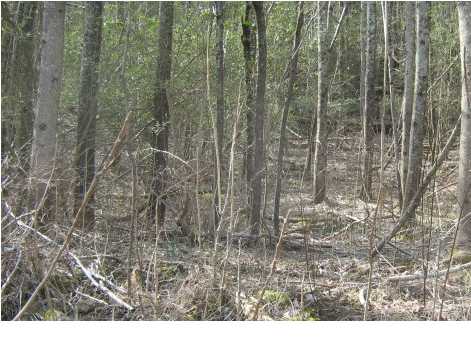 LOT 3 OF COBURNTOWN, SOUTH PITTSBURG, TN 37380 