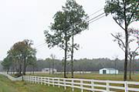 2707 Mt. Lebanon Rd., Chapel Hill, TN 37091 