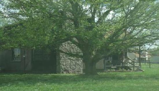 3401 Pembroke Road, Clarksville, TN 37042 