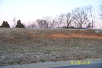 LOT 40 THUNDER POINT, VONORE, TN 37885 