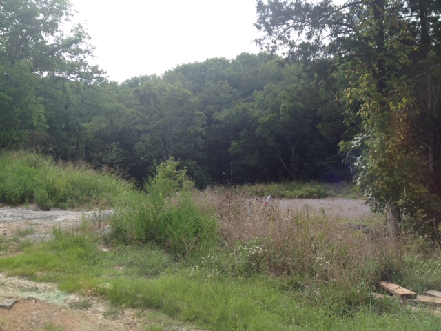 398 Lady of the Lake Lane, FRANKLIN, TN 37067 