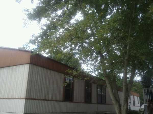 211 Cherish Court, Gray, TN 37615 