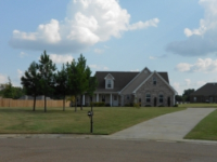 106 Amber Tree Cv, Brighton, TN 38011 