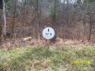 Lot 8 Sernity Trace, Decherd, TN 37324 